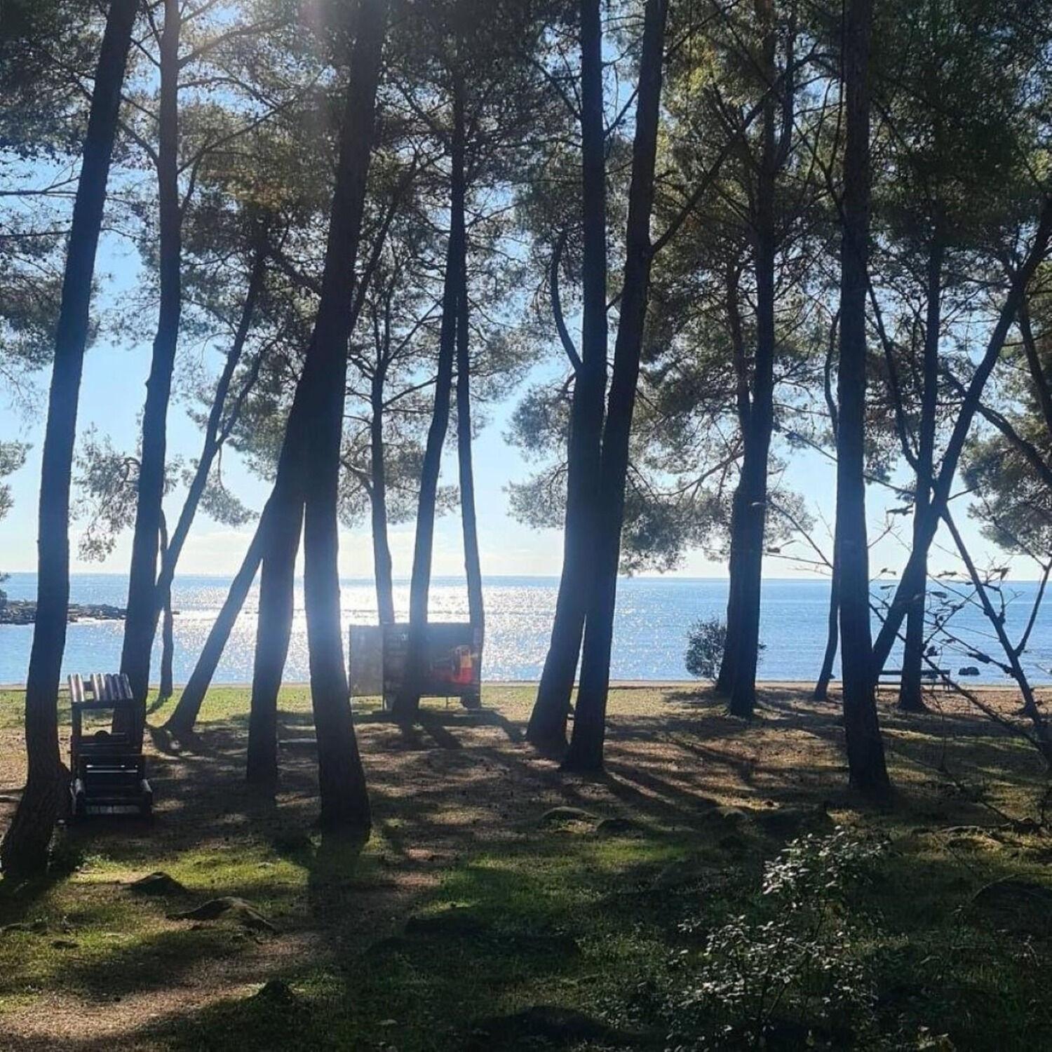Apartments Berto - 500M To The Beach Ровин Екстериор снимка